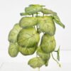 Artificial Plant 25*23*17CM Mini Begonia Leaves GS-52321004 Leaves&Sprays&Foliages YeahFlower is one of Chinese leading OEM manufacturers and exporters , supplying the silk flowers, wholesale artificial trees