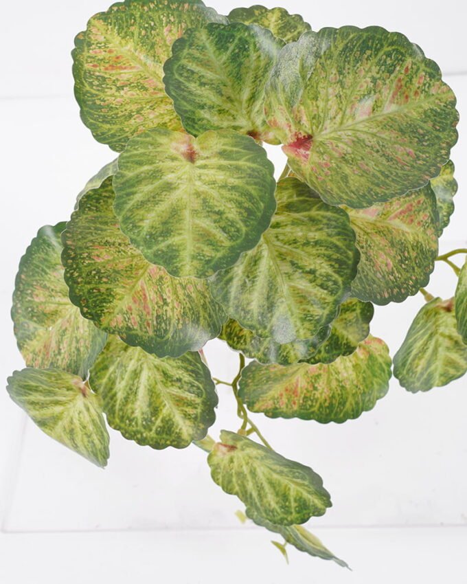 Artificial Plant 25*23*17CM Mini Begonia Leaves GS-52321005 Leaves&Sprays&Foliages YeahFlower is one of Chinese leading OEM manufacturers and exporters , supplying the silk flowers, wholesale artificial trees