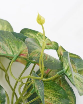 Artificial Plant 25*18*17CM Mini Taro leaf GS-52321002 Leaves&Sprays&Foliages YeahFlower is one of Chinese leading OEM manufacturers and exporters , supplying the silk flowers, wholesale artificial trees