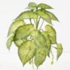 Artificial Plant 25*18*17CM Mini Taro leaf GS-52321003 Leaves&Sprays&Foliages YeahFlower is one of Chinese leading OEM manufacturers and exporters , supplying the silk flowers, wholesale artificial trees