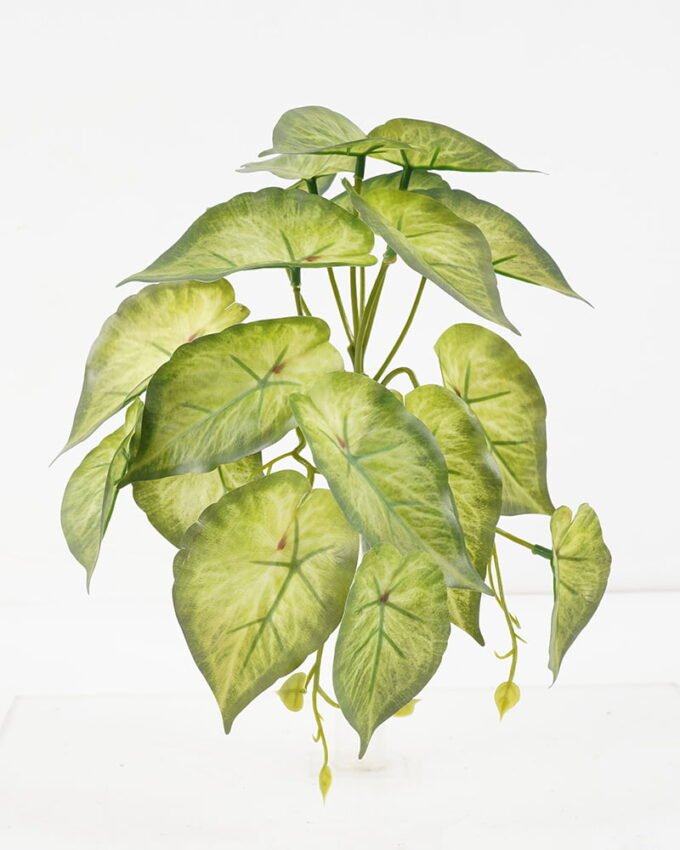 Artificial Plant 25*18*17CM Mini Taro leaf GS-52321003 Leaves&Sprays&Foliages YeahFlower is one of Chinese leading OEM manufacturers and exporters , supplying the silk flowers, wholesale artificial trees