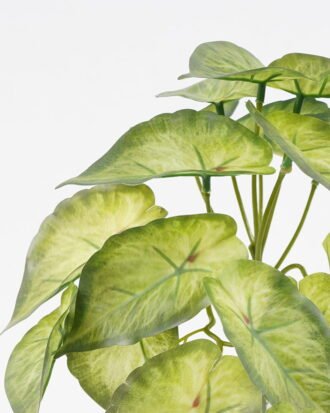 Artificial Plant 25*18*17CM Mini Taro leaf GS-52321003 Leaves&Sprays&Foliages YeahFlower is one of Chinese leading OEM manufacturers and exporters , supplying the silk flowers, wholesale artificial trees