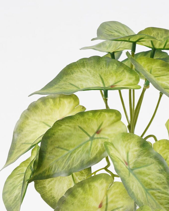 Artificial Plant 25*18*17CM Mini Taro leaf GS-52321003 Leaves&Sprays&Foliages YeahFlower is one of Chinese leading OEM manufacturers and exporters , supplying the silk flowers, wholesale artificial trees