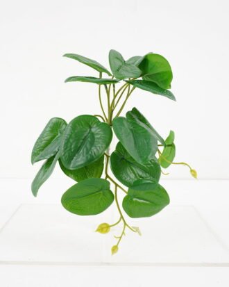 Artificial Plant 25*18*17CM Pilea peperomioides GS-52321001 Leaves&Sprays&Foliages YeahFlower is one of Chinese leading OEM manufacturers and exporters , supplying the silk flowers, wholesale artificial trees
