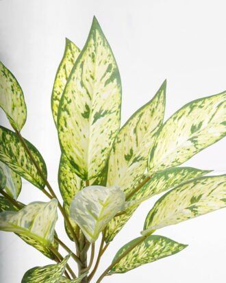 Artificial Plant 30*50cm Rohdea japonica GS-06921054 Leaves&Sprays&Foliages YeahFlower is one of Chinese leading OEM manufacturers and exporters , supplying the silk flowers, wholesale artificial trees