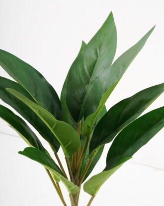 Artificial Plant 22*40cm Rohdea japonica GS-06921056 Leaves&Sprays&Foliages YeahFlower is one of Chinese leading OEM manufacturers and exporters , supplying the silk flowers, wholesale artificial trees