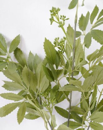 Artificial Plant 26*76cm  With fruit fennel leaves spray*3 GS-26221073 Leaves&Sprays&Foliages YeahFlower is one of Chinese leading OEM manufacturers and exporters , supplying the silk flowers, wholesale artificial trees