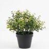Artificial Plant 25*25cm kamuning in pp pot GS-05521162 Potted Flowers&Plants YeahFlower is one of Chinese leading OEM manufacturers and exporters , supplying the silk flowers, wholesale artificial trees
