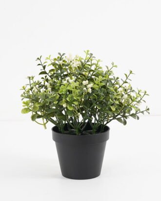Artificial Plant 25*25cm kamuning in pp pot GS-05521162 Potted Flowers&Plants YeahFlower is one of Chinese leading OEM manufacturers and exporters , supplying the silk flowers, wholesale artificial trees