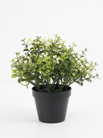Artificial Plant 27*23cm  Grass in pp pot GS-05521163 Potted Flowers&Plants 3,000+ sqm showroom with thousands of artificial flowers, plants & trees ready for global sourcing.