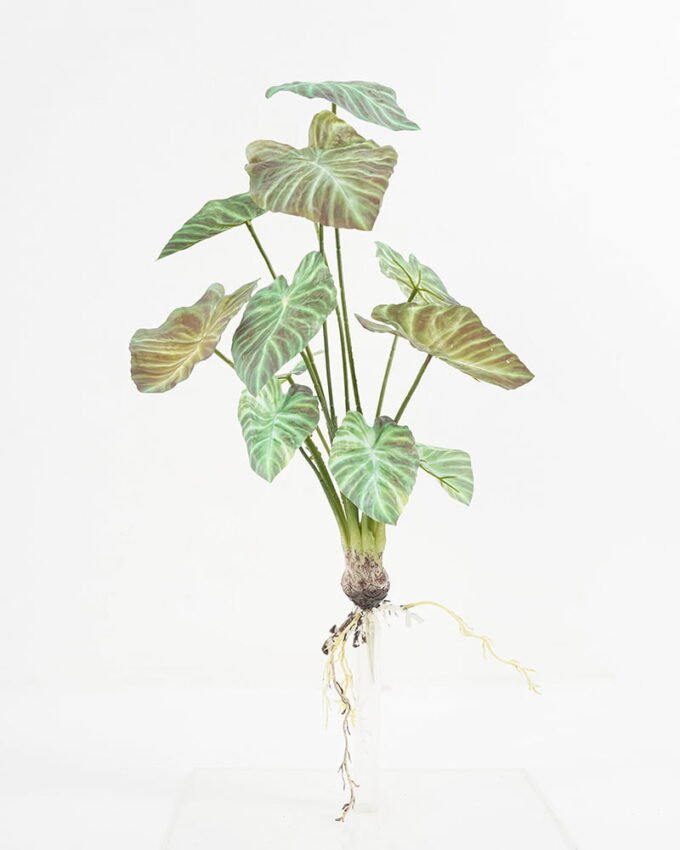 Artificial Plant 30*47cm leaf bush*12 GS-64621003 Leaves&Sprays&Foliages YeahFlower is one of Chinese leading OEM manufacturers and exporters , supplying the silk flowers, wholesale artificial trees