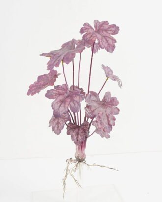 Artificial Plant 28*48cm leaf bush*12 GS-64621009-K2 Leaves&Sprays&Foliages YeahFlower is one of Chinese leading OEM manufacturers and exporters , supplying the silk flowers, wholesale artificial trees