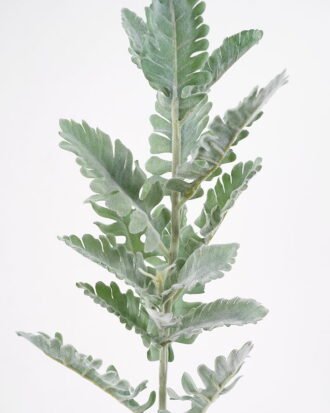 Artificial Plant 20*79cm leaf single stem GS-45021005-G1 Leaves&Sprays&Foliages YeahFlower is one of Chinese leading OEM manufacturers and exporters , supplying the silk flowers, wholesale artificial trees