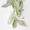 Artificial Plant 29*29cm leaf wreath GS-45021004 WREATH YeahFlower is one of Chinese leading OEM manufacturers and exporters , supplying the silk flowers, wholesale artificial trees