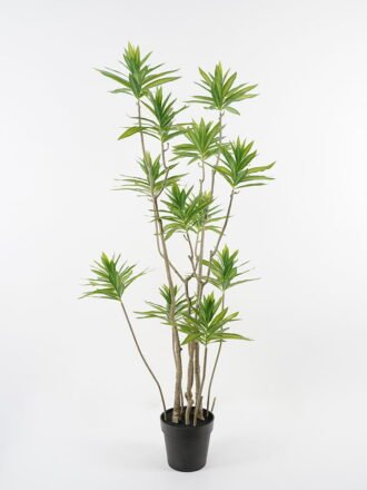 Artificial Tree 90*180cm Dracaena reflexa in pp pot GS-48521050 Tree&Plant 3,000+ sqm showroom with thousands of artificial flowers, plants & trees ready for global sourcing.