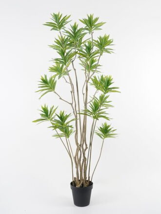 Artificial Tree 48*48*75cm Eucalyptus in pp pot GS-58421014 Tree&Plant YeahFlower is one of Chinese leading OEM manufacturers and exporters , supplying the silk flowers, wholesale artificial trees