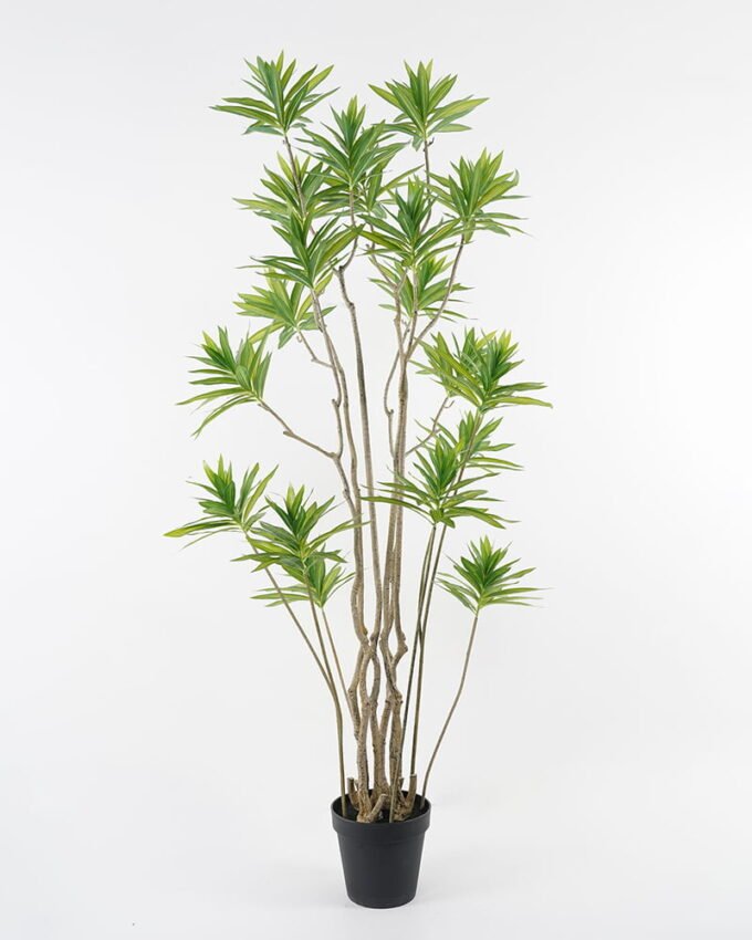 Artificial Tree 90*180cm Dracaena reflexa in pp pot GS-48521050 Tree&Plant YeahFlower is one of Chinese leading OEM manufacturers and exporters , supplying the silk flowers, wholesale artificial trees