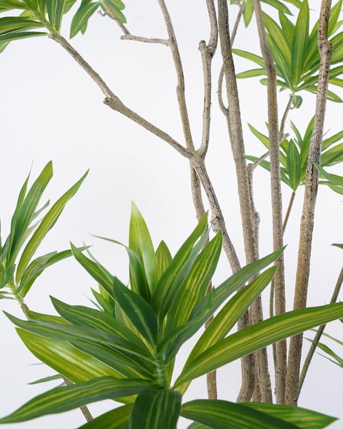 Artificial Tree 90*180cm Dracaena reflexa in pp pot GS-48521050 Tree&Plant YeahFlower is one of Chinese leading OEM manufacturers and exporters , supplying the silk flowers, wholesale artificial trees