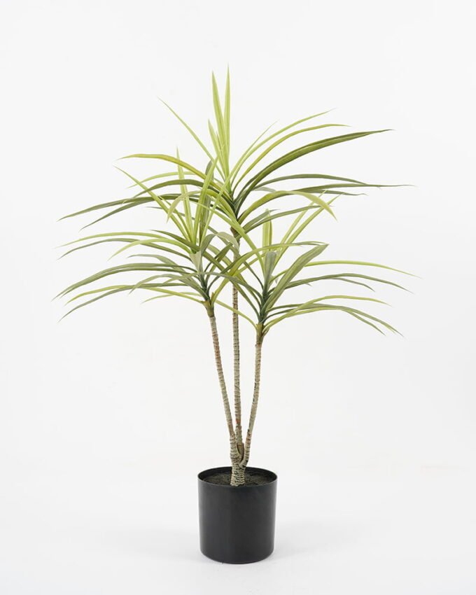 Artificial Tree 62*54*150cm Dracaena tree in pp pot GS-48521023 Tree&Plant YeahFlower is one of Chinese leading OEM manufacturers and exporters , supplying the silk flowers, wholesale artificial trees