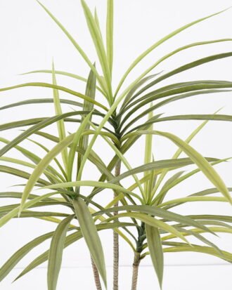 Artificial Tree 62*54*150cm Dracaena tree in pp pot GS-48521023 Tree&Plant YeahFlower is one of Chinese leading OEM manufacturers and exporters , supplying the silk flowers, wholesale artificial trees