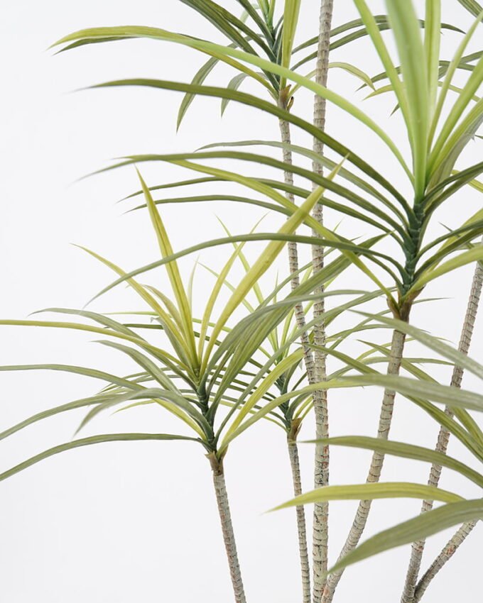 Artificial Tree 90*83*130cm Dracaena tree in pp pot GS-48521025 Tree&Plant YeahFlower is one of Chinese leading OEM manufacturers and exporters , supplying the silk flowers, wholesale artificial trees
