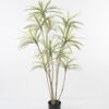 Artificial Tree Dracaena tree in pp pot GS-48521026_6 Artificial Tree 100*75*150cm Dracaena tree in pp pot GS-48521026 Tree&Plant YeahFlower is one of Chinese leading OEM manufacturers and exporters , supplying the silk flowers, wholesale artificial trees