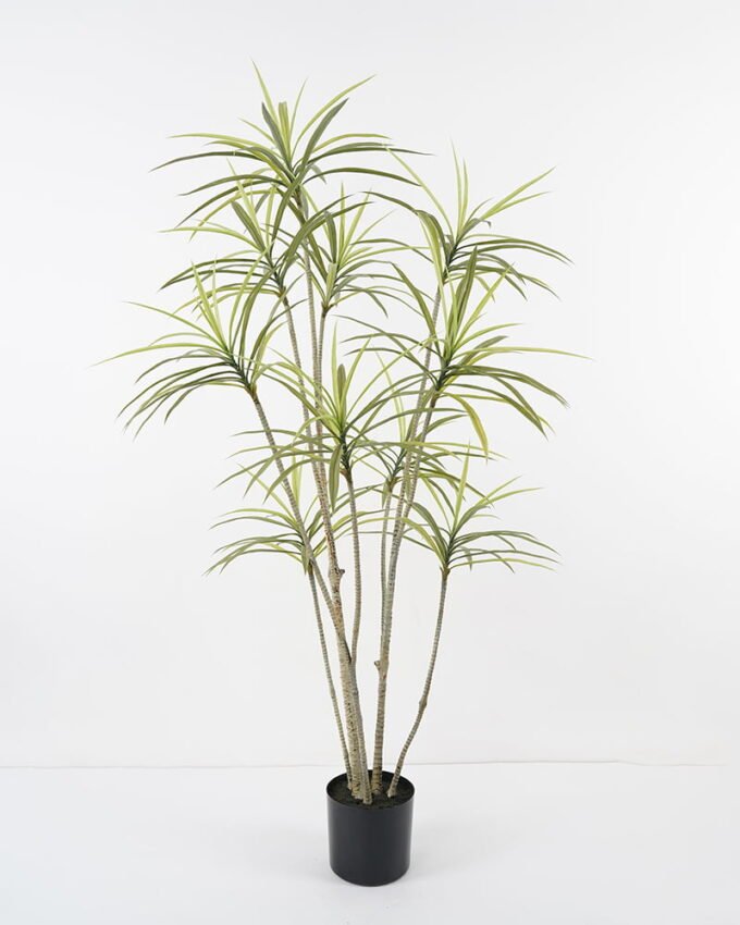 Artificial Tree Dracaena tree in pp pot GS-48521026_6 Artificial Tree 100*75*150cm Dracaena tree in pp pot GS-48521026 Tree&Plant YeahFlower is one of Chinese leading OEM manufacturers and exporters , supplying the silk flowers, wholesale artificial trees