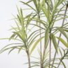 Artificial Tree Dracaena tree in pp pot GS-48521026_8 Artificial Tree 100*75*150cm Dracaena tree in pp pot GS-48521026 Tree&Plant YeahFlower is one of Chinese leading OEM manufacturers and exporters , supplying the silk flowers, wholesale artificial trees