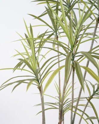 Artificial Tree 100*75*150cm Dracaena tree in pp pot GS-48521026 Tree&Plant YeahFlower is one of Chinese leading OEM manufacturers and exporters , supplying the silk flowers, wholesale artificial trees