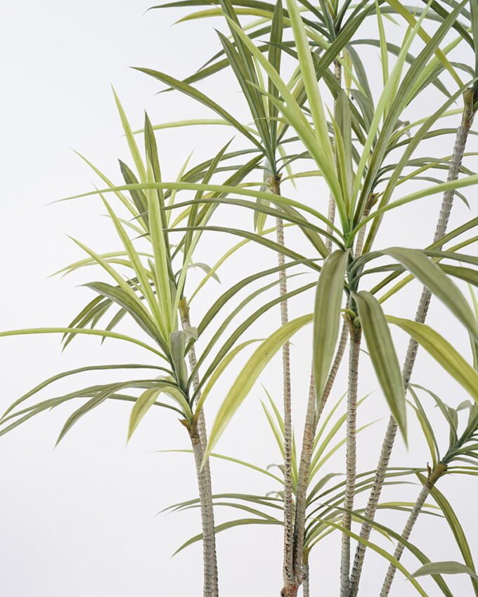 Artificial Tree Dracaena tree in pp pot GS-48521026_8 Artificial Tree 100*75*150cm Dracaena tree in pp pot GS-48521026 Tree&Plant YeahFlower is one of Chinese leading OEM manufacturers and exporters , supplying the silk flowers, wholesale artificial trees