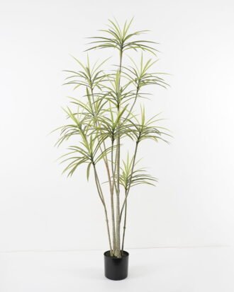 Artificial Tree 90*83*170cm Dracaena tree in pp pot GS-48521027 Tree&Plant YeahFlower is one of Chinese leading OEM manufacturers and exporters , supplying the silk flowers, wholesale artificial trees