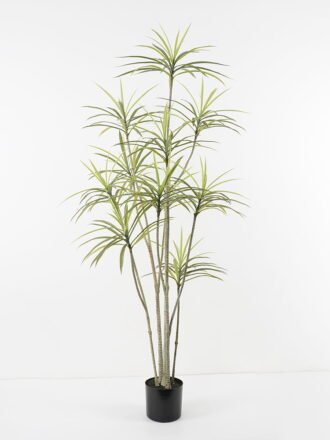 Artificial Tree 100*75*150cm Dracaena tree in pp pot GS-48521026 Tree&Plant 3,000+ sqm showroom with thousands of artificial flowers, plants & trees ready for global sourcing.