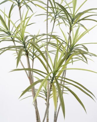 Artificial Tree 90*83*170cm Dracaena tree in pp pot GS-48521027 Tree&Plant YeahFlower is one of Chinese leading OEM manufacturers and exporters , supplying the silk flowers, wholesale artificial trees