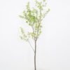 Artificial Tree 70*62*150cm Enkianthus perulatus Spray GS-58421032 Tree&Plant YeahFlower is one of Chinese leading OEM manufacturers and exporters , supplying the silk flowers, wholesale artificial trees