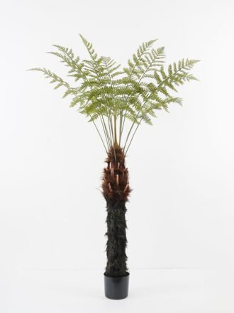 Artificial Tree 106*106*160cm Fern tree in pp pot GS-48521044 Tree&Plant 3,000+ sqm showroom with thousands of artificial flowers, plants & trees ready for global sourcing.