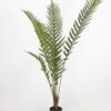 Artificial Tree 80*80*150cm Giant Fern in pp pot GS-58421011 Tree&Plant YeahFlower is one of Chinese leading OEM manufacturers and exporters , supplying the silk flowers, wholesale artificial trees