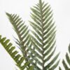 Artificial Tree 80*80*150cm Giant Fern in pp pot GS-58421011 Tree&Plant YeahFlower is one of Chinese leading OEM manufacturers and exporters , supplying the silk flowers, wholesale artificial trees
