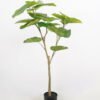 Artificial Tree 82*47*120cm Heart-shape Ficus in pp pot GS-58421023 Tree&Plant YeahFlower is one of Chinese leading OEM manufacturers and exporters , supplying the silk flowers, wholesale artificial trees