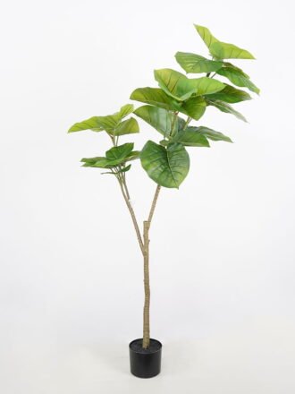 Artificial Tree 80*75*160cm Heart-shape Ficus in pp pot GS-58421025 Tree&Plant 3,000+ sqm showroom with thousands of artificial flowers, plants & trees ready for global sourcing.