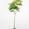 Artificial Tree 80*75*160cm Heart-shape Ficus in pp pot GS-58421025 Tree&Plant YeahFlower is one of Chinese leading OEM manufacturers and exporters , supplying the silk flowers, wholesale artificial trees