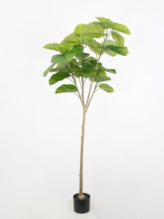 Artificial Tree 51*51*140cm Heart-shape Ficus in pp pot GS-58421026 Tree&Plant 3,000+ sqm showroom with thousands of artificial flowers, plants & trees ready for global sourcing.