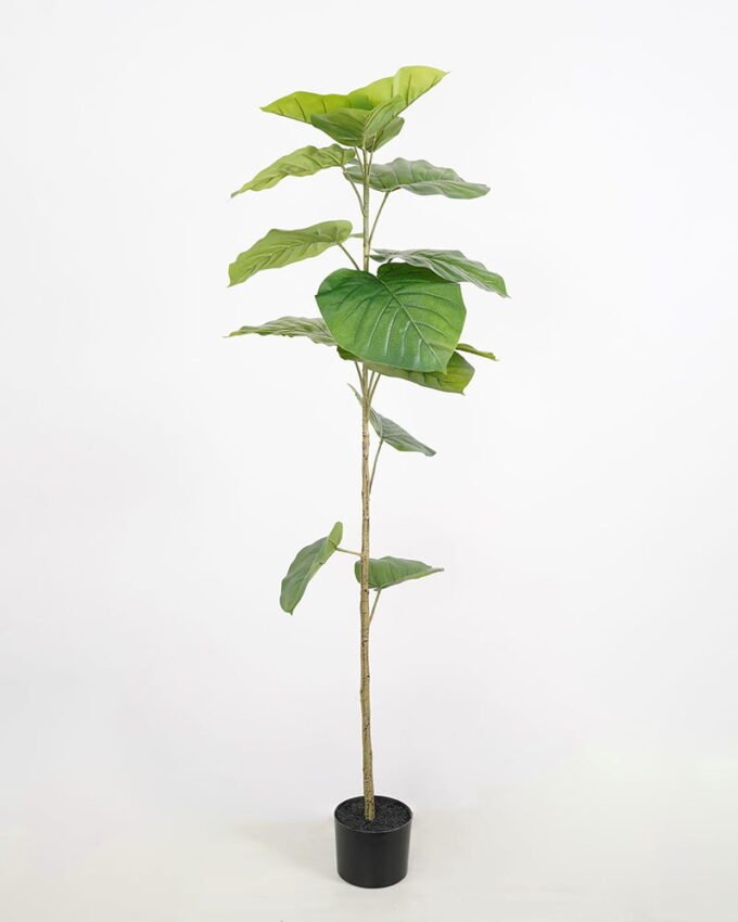 Artificial Tree 51*51*140cm Heart-shape Ficus in pp pot GS-58421026 Tree&Plant YeahFlower is one of Chinese leading OEM manufacturers and exporters , supplying the silk flowers, wholesale artificial trees
