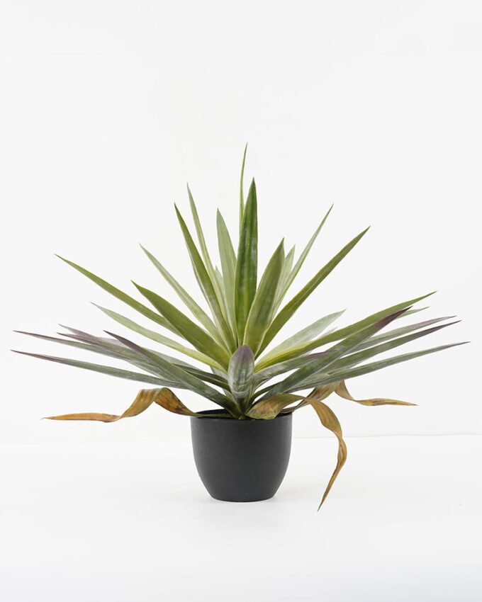 Artificial Tree 57*57*48cm Succulent in pp pot GS-48521035 Tree&Plant YeahFlower is one of Chinese leading OEM manufacturers and exporters , supplying the silk flowers, wholesale artificial trees