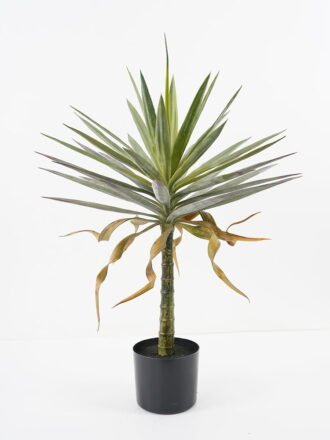 Artificial Tree 67*67*100cm Succulent in pp pot GS-48521037 Tree&Plant 3,000+ sqm showroom with thousands of artificial flowers, plants & trees ready for global sourcing.