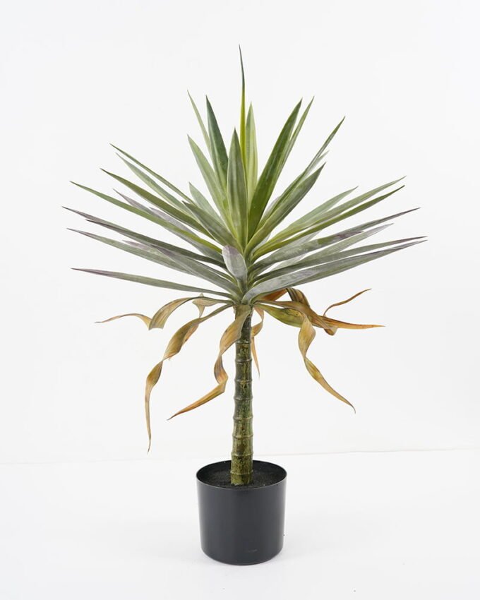 Artificial Tree 58*58*80cm Succulent in pp pot GS-48521036 Tree&Plant YeahFlower is one of Chinese leading OEM manufacturers and exporters , supplying the silk flowers, wholesale artificial trees