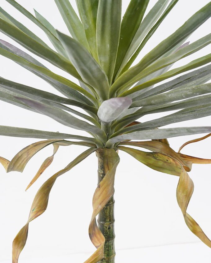 Artificial Tree 58*58*80cm Succulent in pp pot GS-48521036 Tree&Plant YeahFlower is one of Chinese leading OEM manufacturers and exporters , supplying the silk flowers, wholesale artificial trees