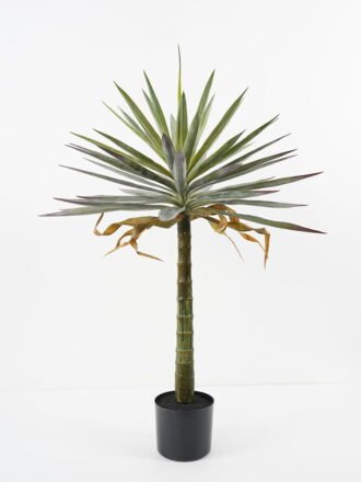 Artificial Tree 69*69*130cm Succulent in pp pot GS-48521038 Tree&Plant 3,000+ sqm showroom with thousands of artificial flowers, plants & trees ready for global sourcing.