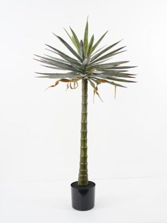 Artificial Tree 67*67*100cm Succulent in pp pot GS-48521037 Tree&Plant 3,000+ sqm showroom with thousands of artificial flowers, plants & trees ready for global sourcing.