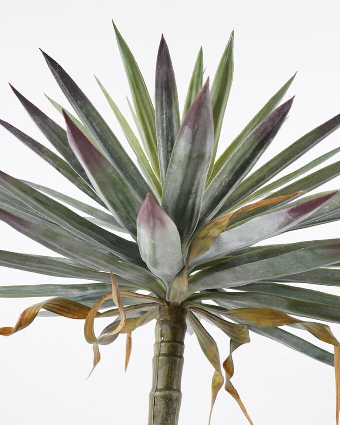 Artificial Tree 69*69*130cm Succulent in pp pot GS-48521038 Tree&Plant YeahFlower is one of Chinese leading OEM manufacturers and exporters , supplying the silk flowers, wholesale artificial trees