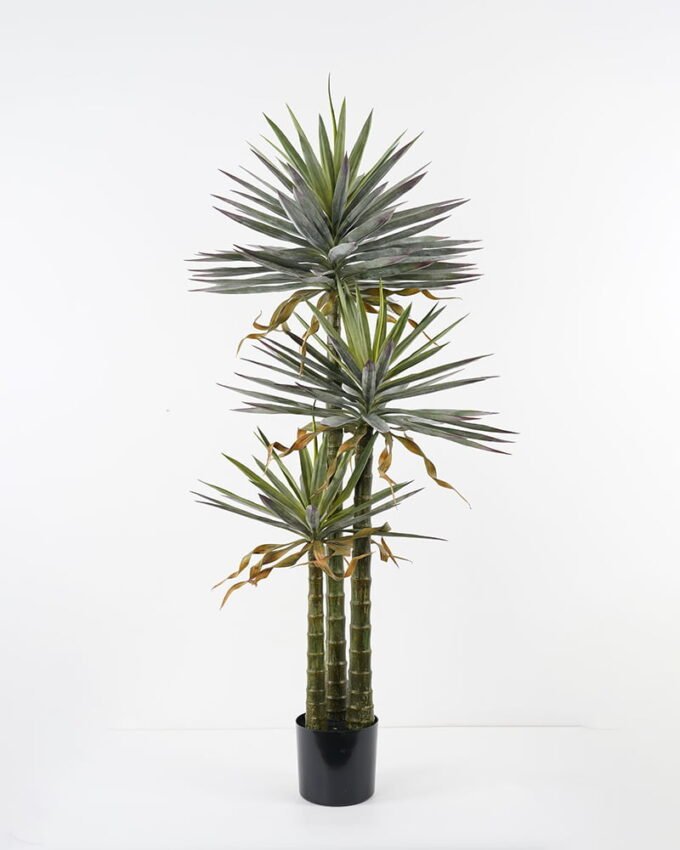 Artificial Tree 80*80*168cm Succulent in pp pot GS-48521041 Tree&Plant YeahFlower is one of Chinese leading OEM manufacturers and exporters , supplying the silk flowers, wholesale artificial trees